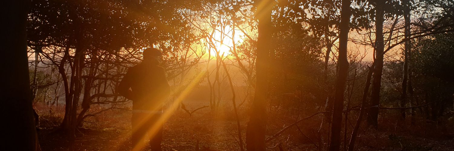 _laurenfletcher's profile banner image