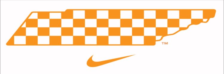 Pantone 151-C banner