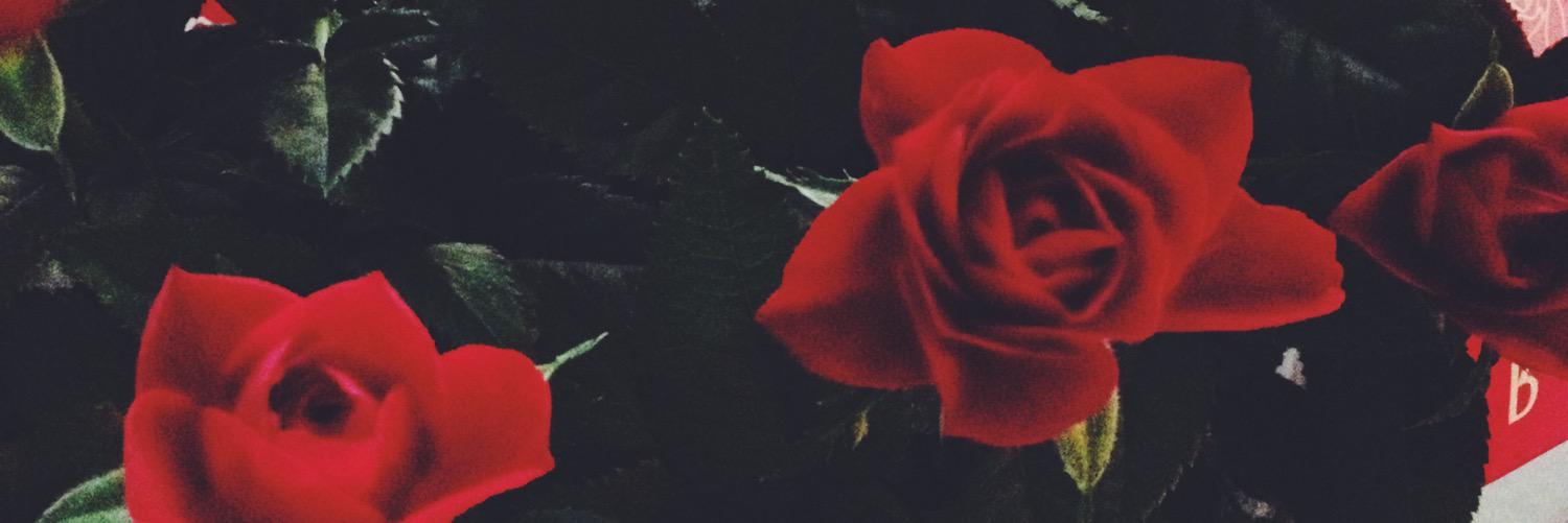 MathesonAddilyn's profile banner image