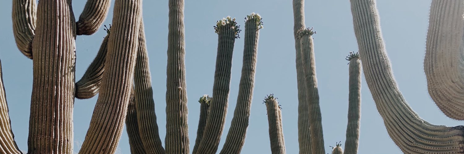 brynnjones2's profile banner image
