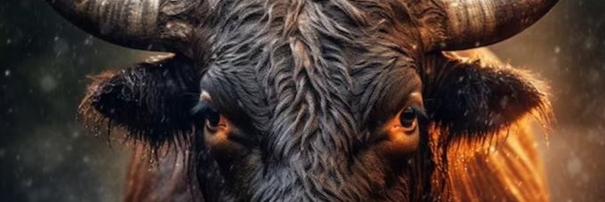 PederSas's profile banner image