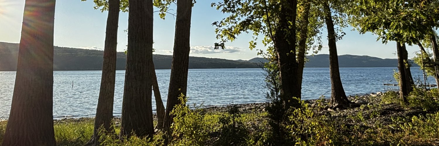 sethacohen33's profile banner image