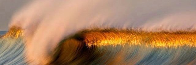 ColyGold's profile banner image