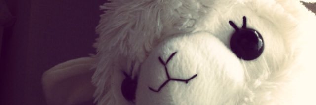ss_so_'s profile banner image