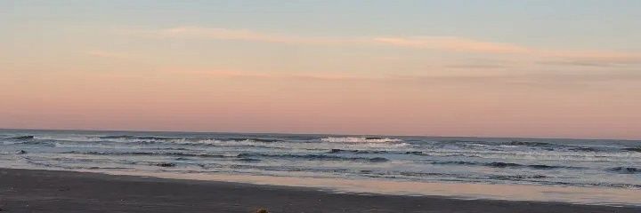 larissabriese_'s profile banner image