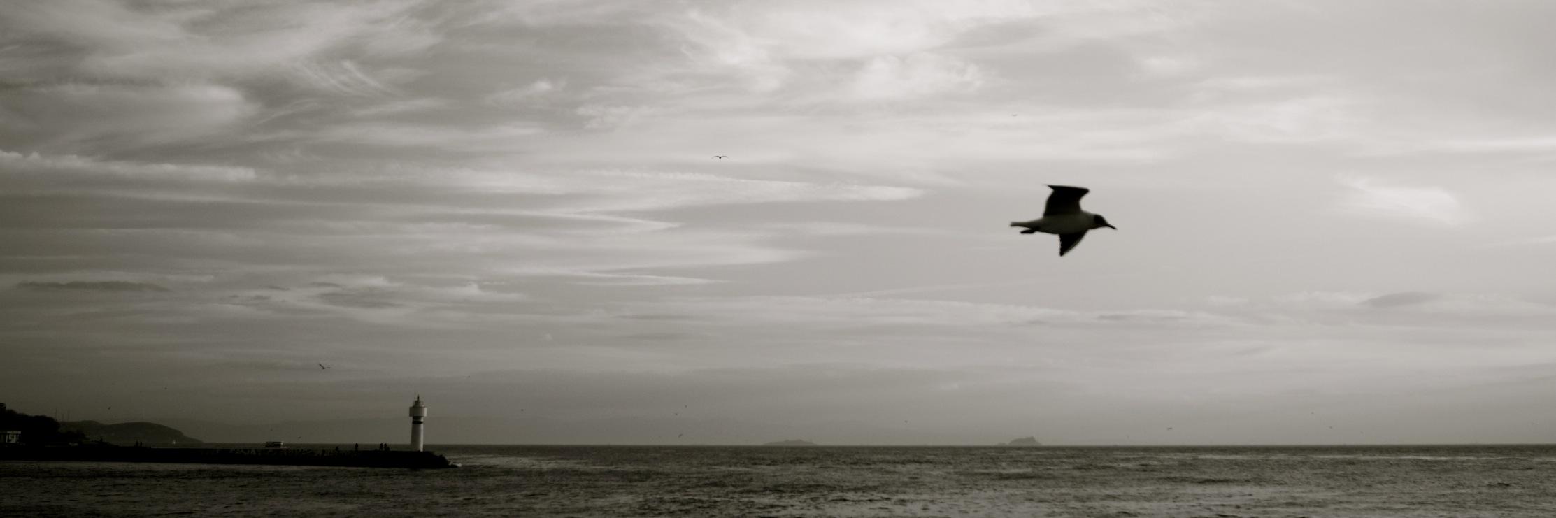 chiarafranco_'s profile banner image