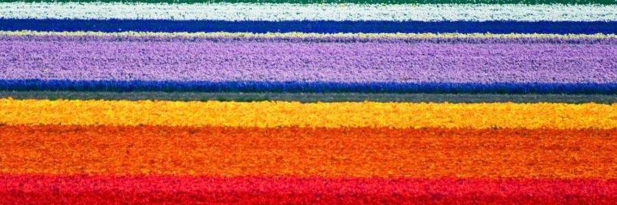 Pixie_By's profile banner image