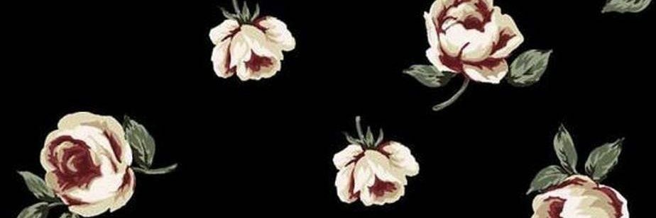LuciadeLimon's profile banner image