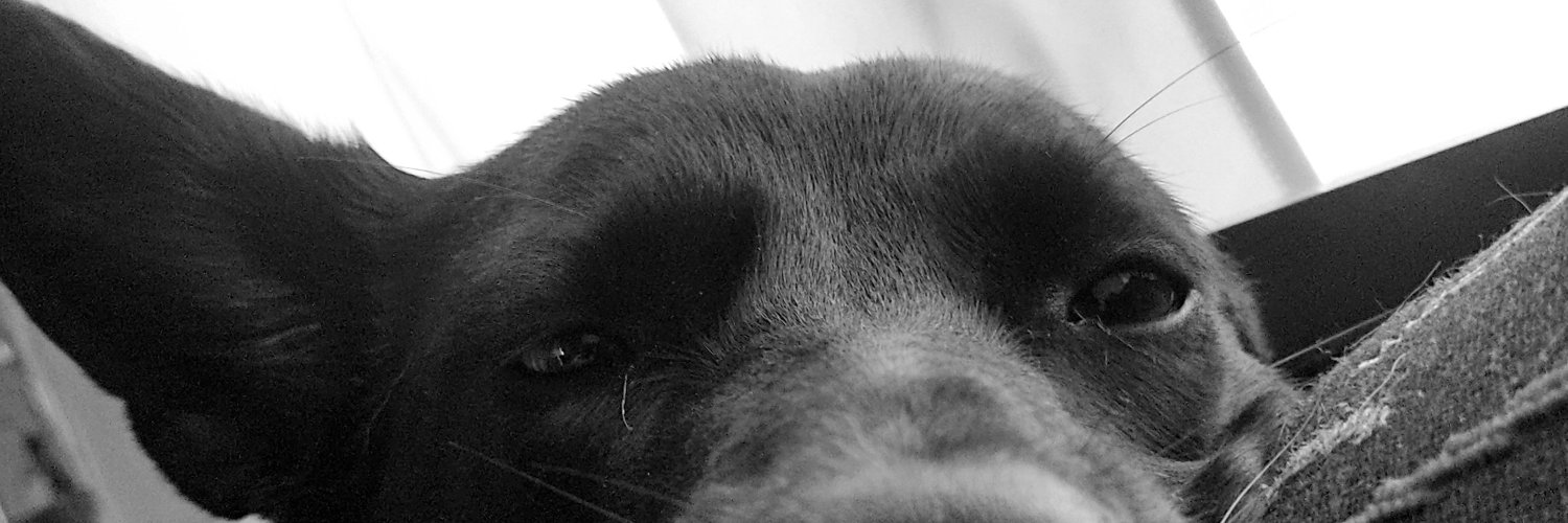 meli8a_f's profile banner image