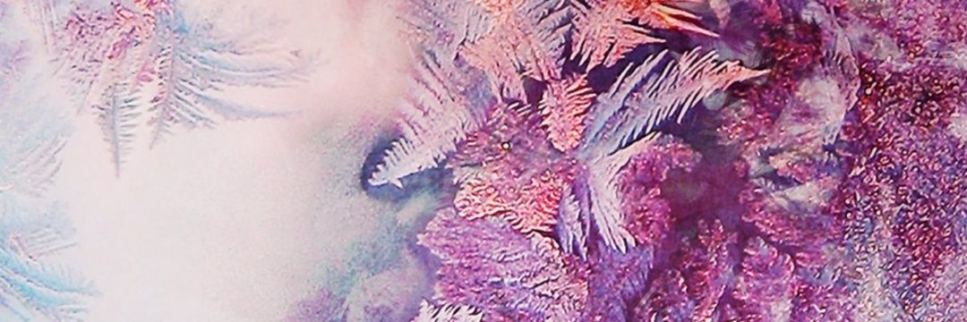 Barbara Marà banner