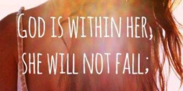 nicole schroeder banner