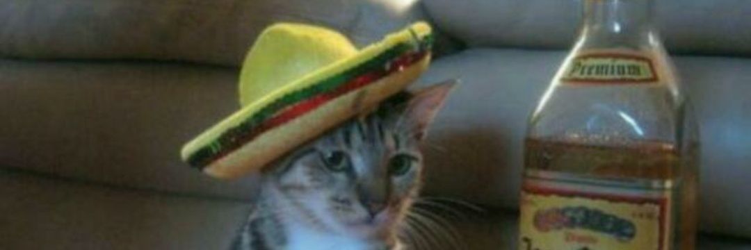 rodry_grillo's profile banner image