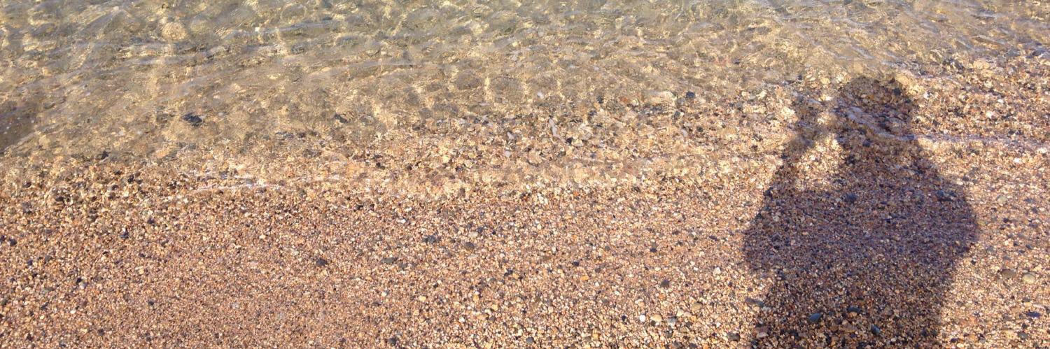 おまつ🌳 banner