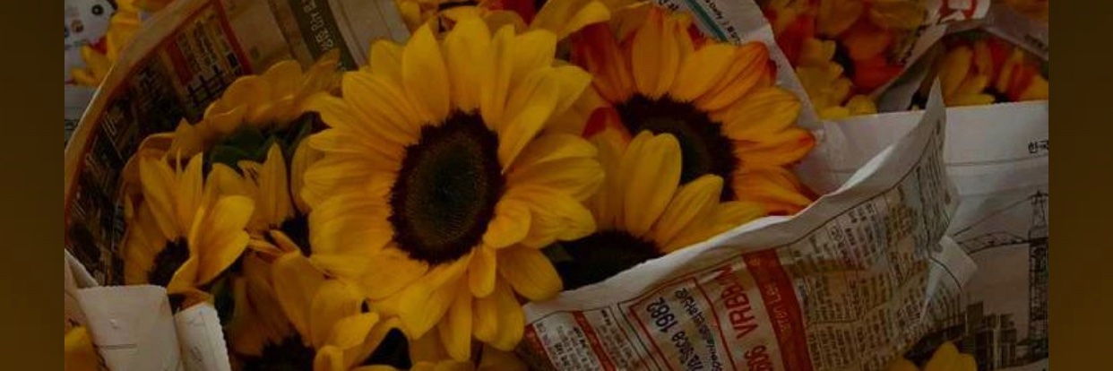 _chIRACK's profile banner image