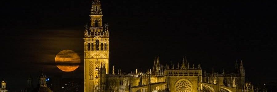 Little_Vidia's profile banner image