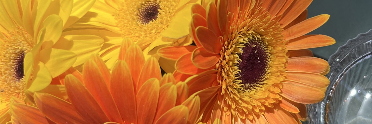 ValeDominguez2's profile banner image