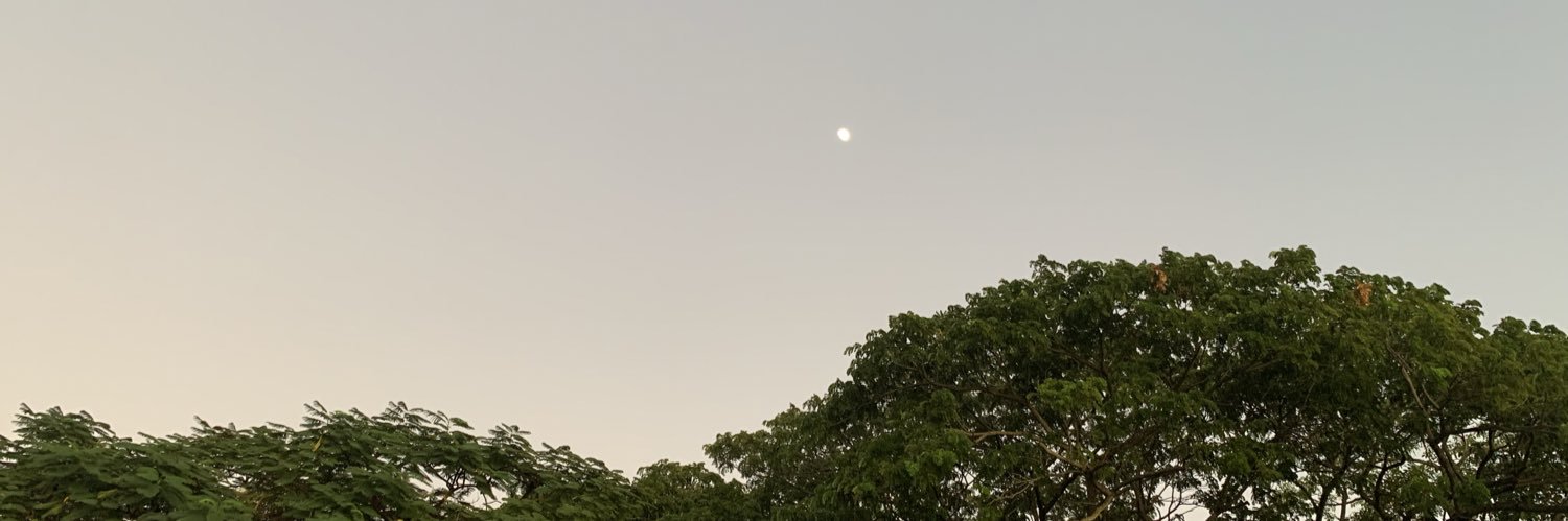 JessicaDiazIc's profile banner image