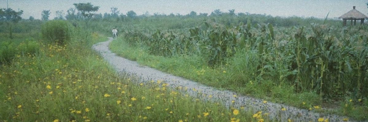 在如此浪漫的夜说爱吧 banner