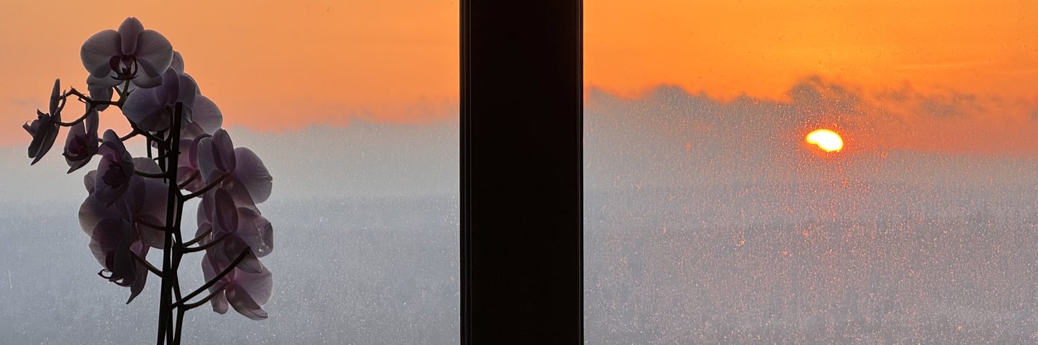 Vicky Connell banner