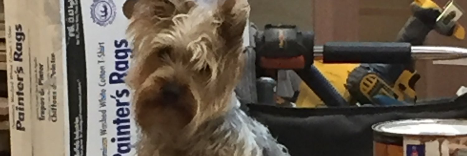 stuckonmorrow's profile banner image