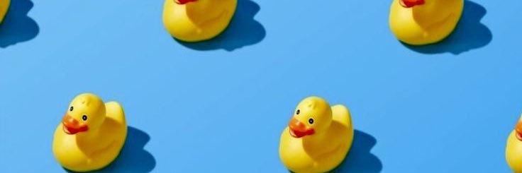 paularm03's profile banner image