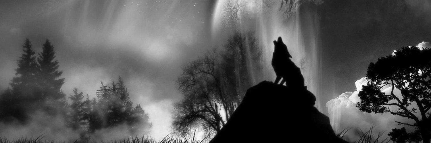 _sonke_'s profile banner image