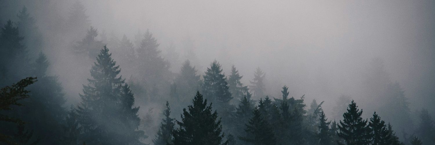 bjheld's profile banner image