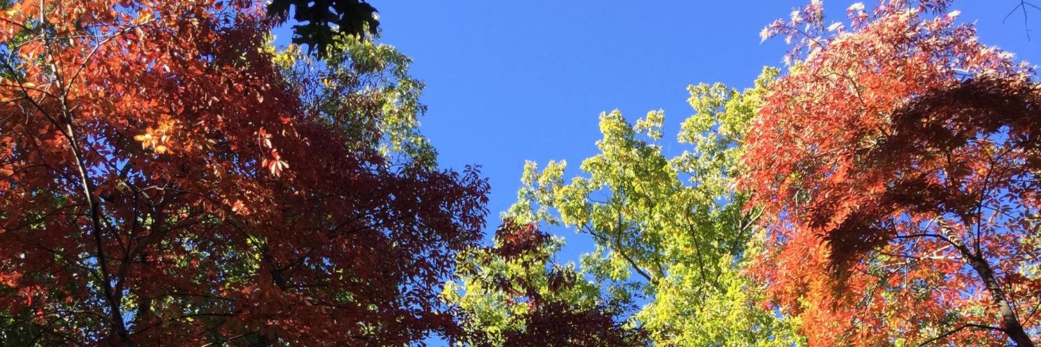 TheWhittyRev's profile banner image