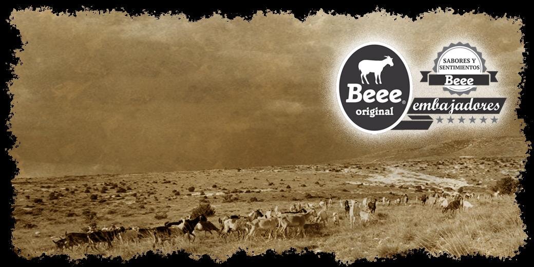 Beee_QuesoCabra's profile banner image