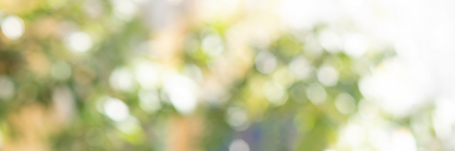 Ana Fernandes banner