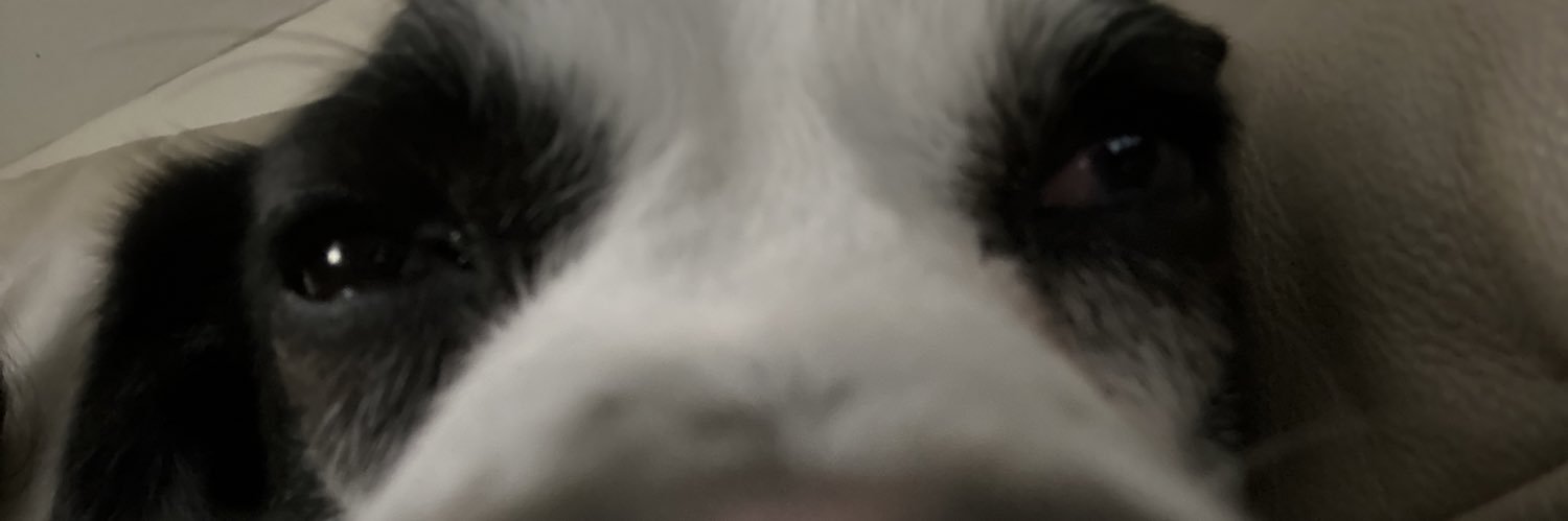 taaaylove's profile banner image
