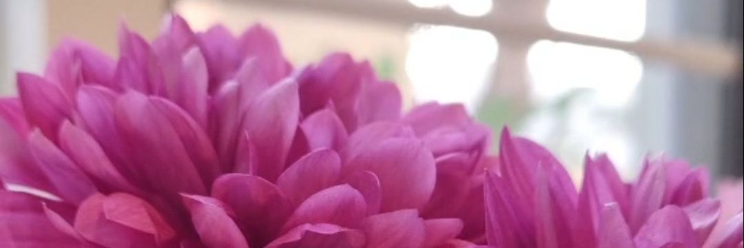 nahnoha88's profile banner image