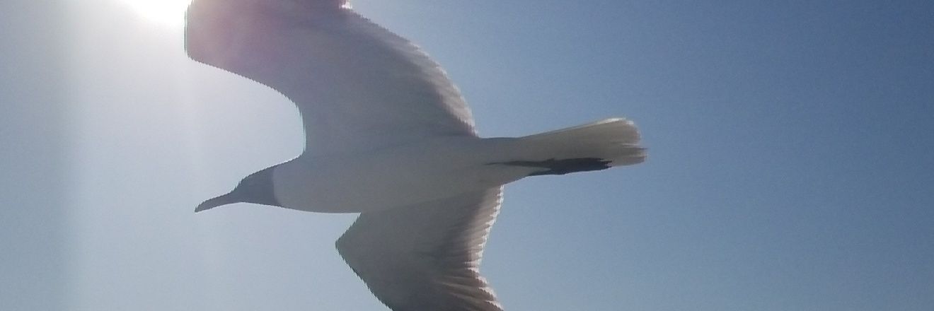AmyKristin824's profile banner image