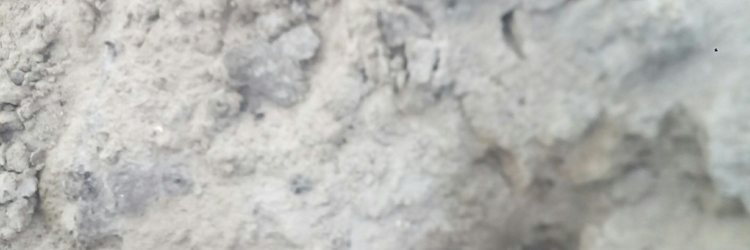 shegizy's profile banner image
