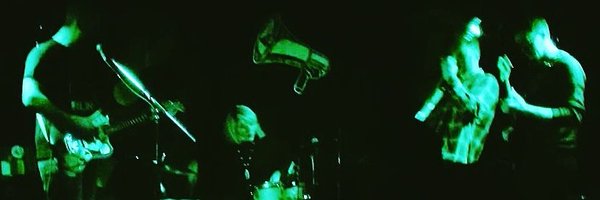 YearOfBirds Profile Banner