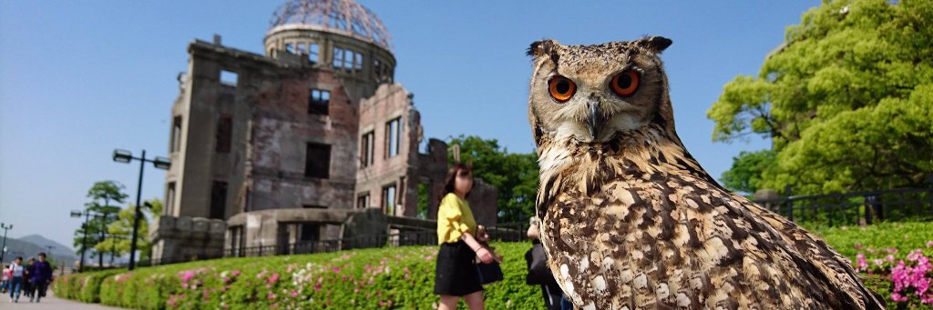 OWL_de_Base's profile banner image