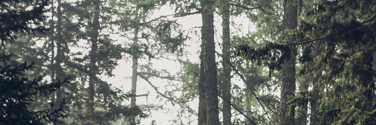 commissioner619's profile banner image