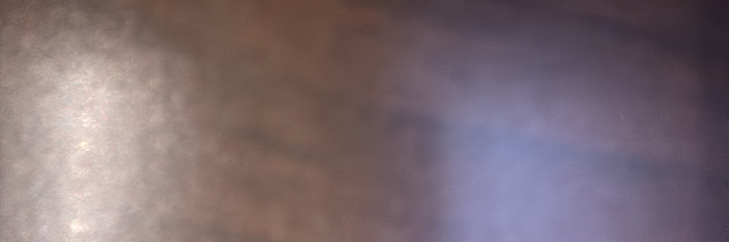 BugsterInBlack's profile banner image