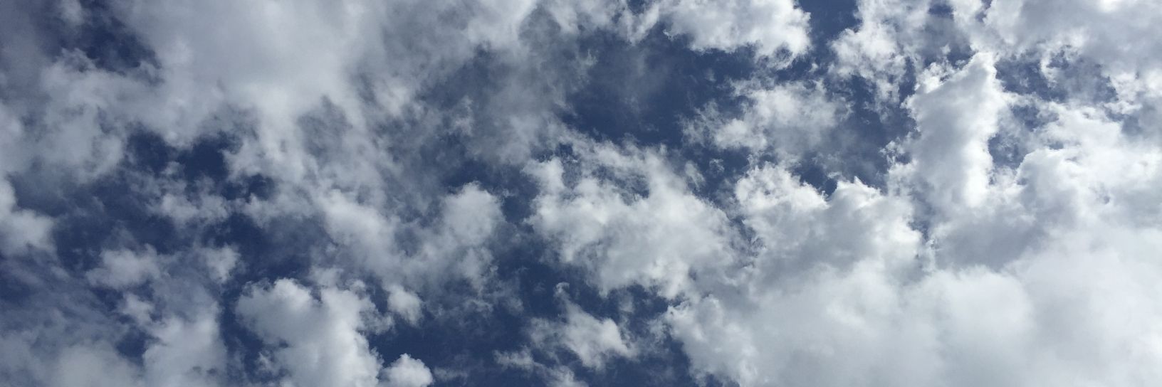 BarleyisBeer's profile banner image