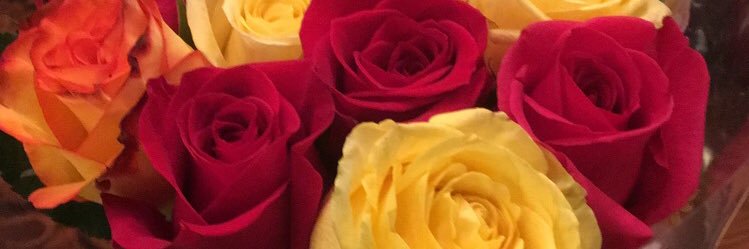sneeks_otb's profile banner image