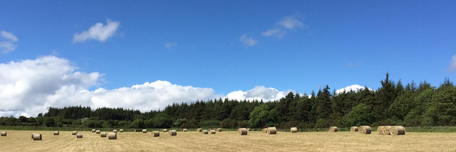 ColChraoibhinCS's profile banner image