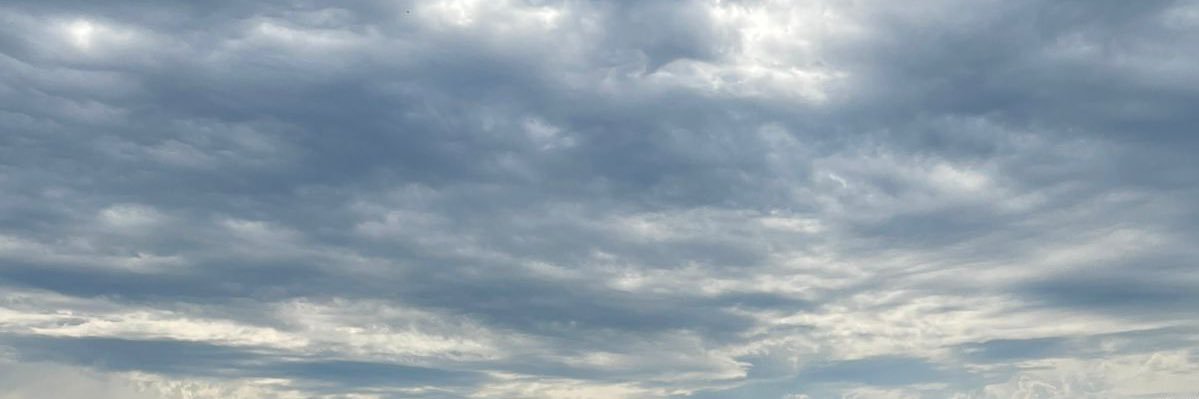 Sandra 🐾🐾 banner