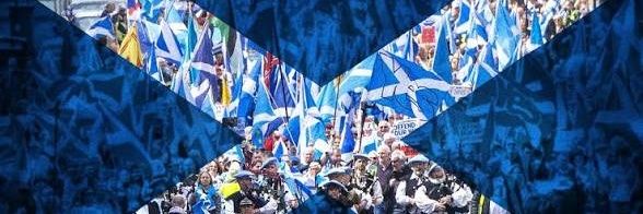 TomHark88's profile banner image