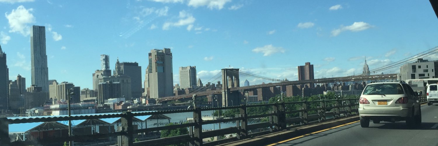 LauraFieldsNYC's profile banner image