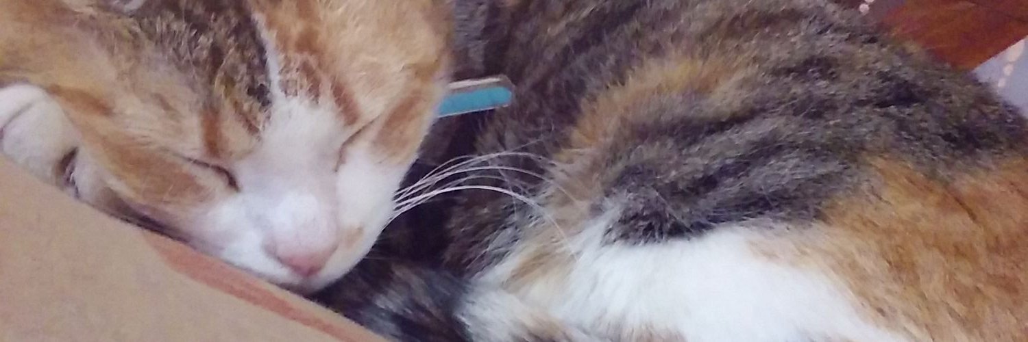 flopy1515's profile banner image