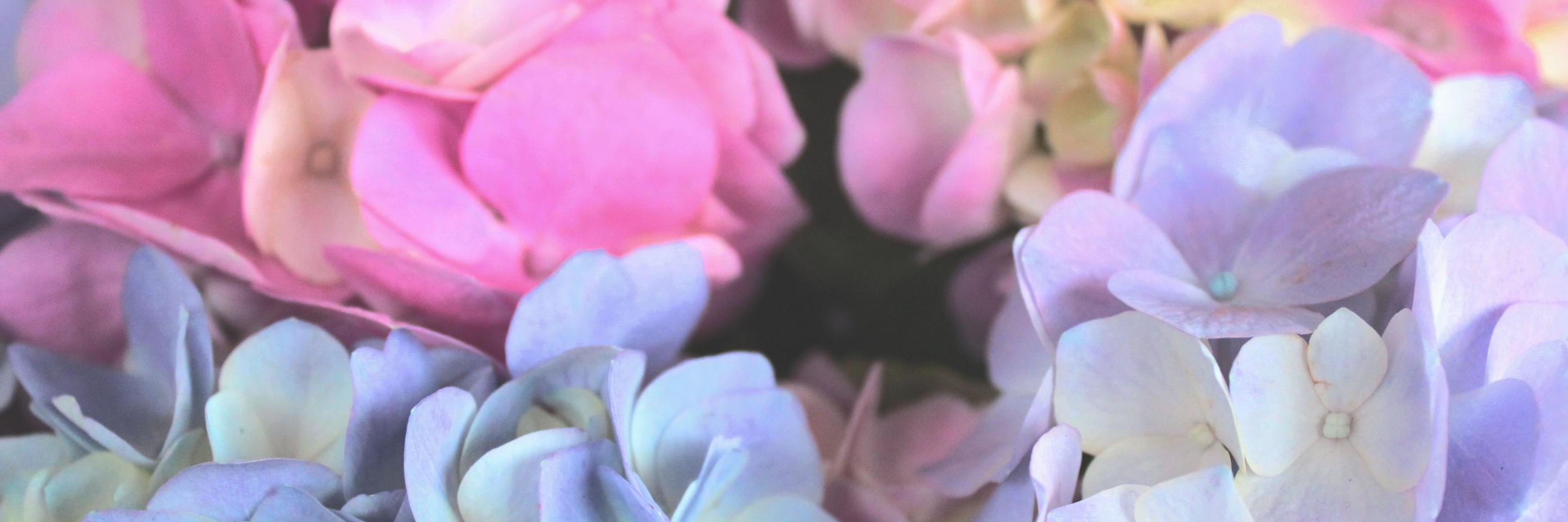 ainhh's profile banner image
