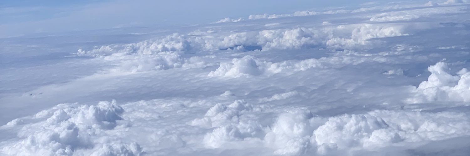melimoora's profile banner image