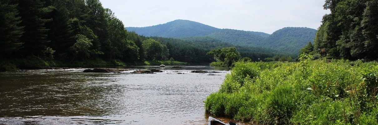 Michelle Fournier banner