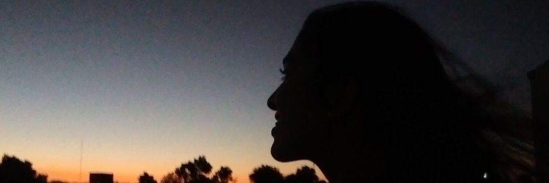 Julietaraschi's profile banner image