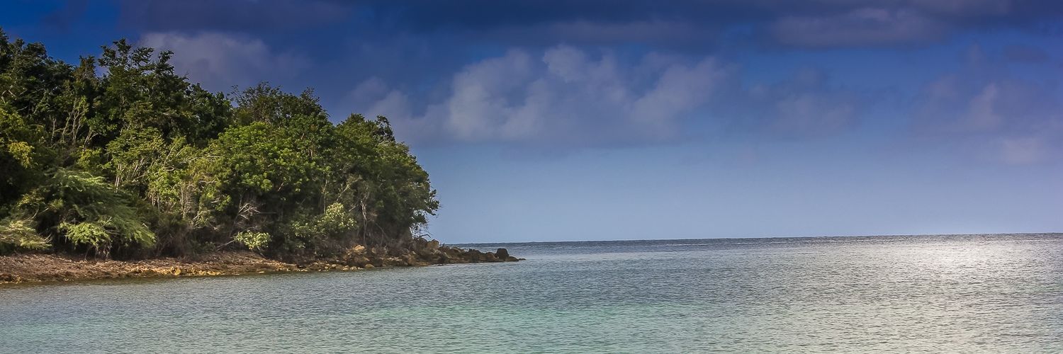 jodomofo's profile banner image